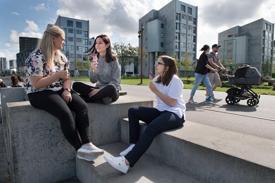 Fire studiner spiser is på Aalborg Havnefront